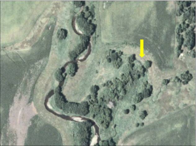 The same oxbow restoration site prior to restoration.  Site is not longer connected to creek and has completely filled in with sediment over the years.